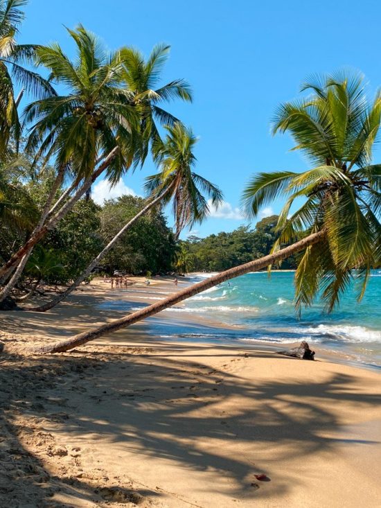 spiagge costa rica